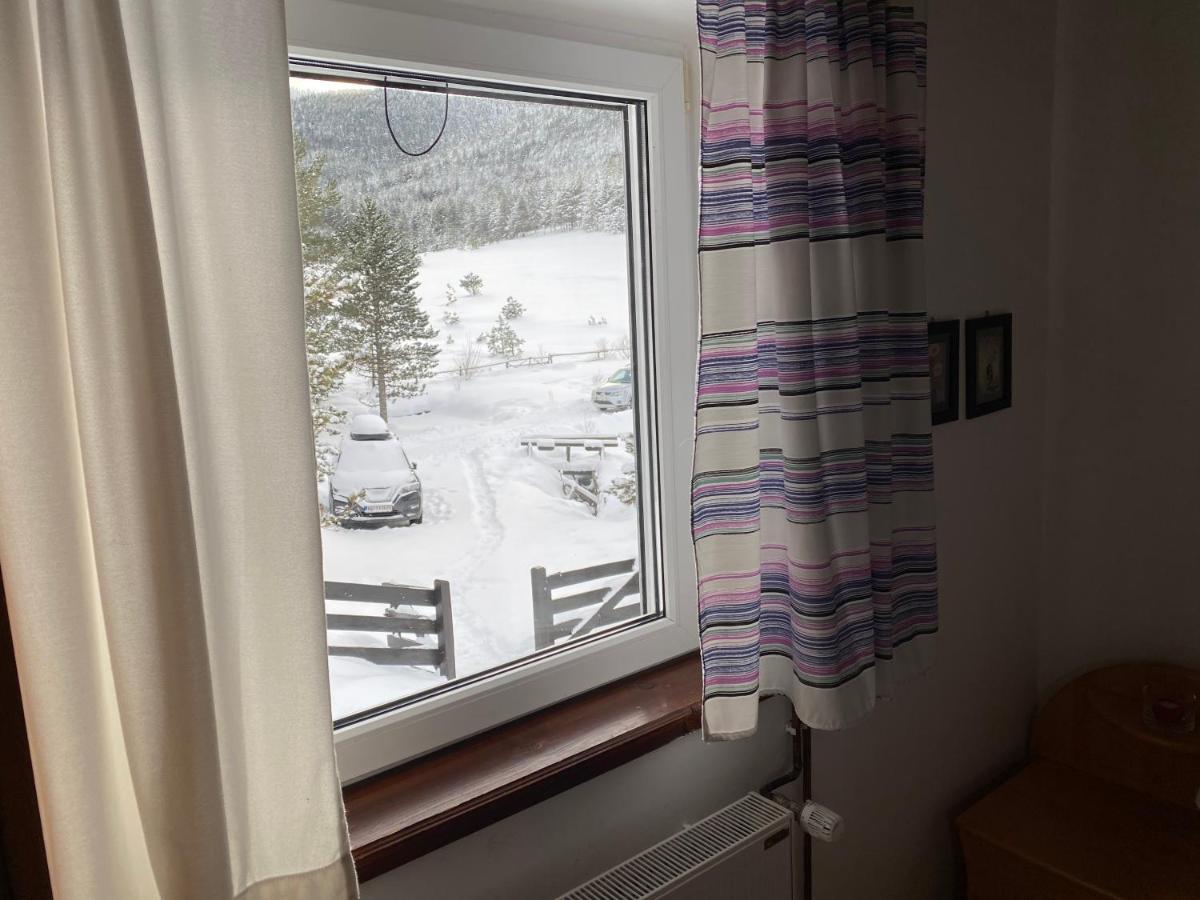 Vila Jela Tornik Zlatibor Extérieur photo