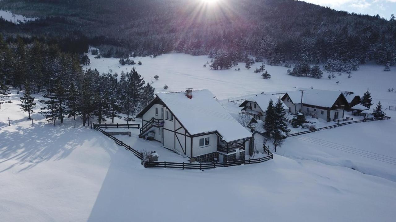 Vila Jela Tornik Zlatibor Extérieur photo