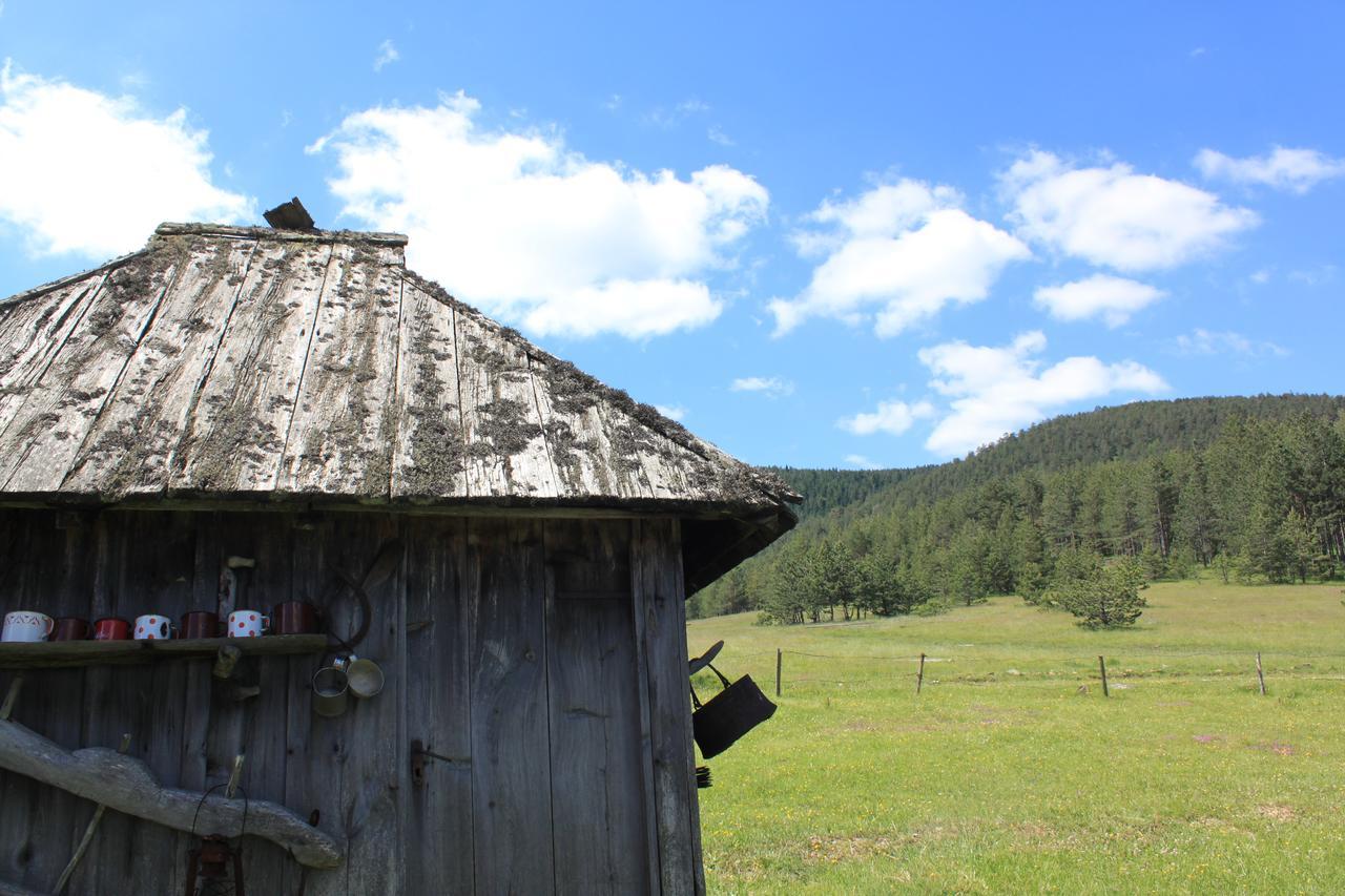 Vila Jela Tornik Zlatibor Extérieur photo