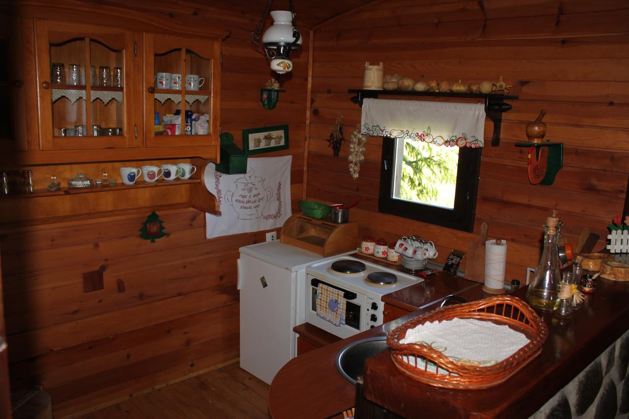 Vila Jela Tornik Zlatibor Extérieur photo