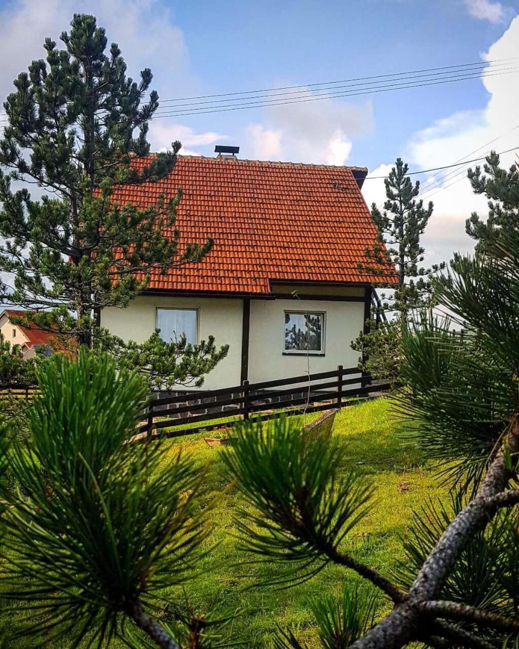 Vila Jela Tornik Zlatibor Extérieur photo