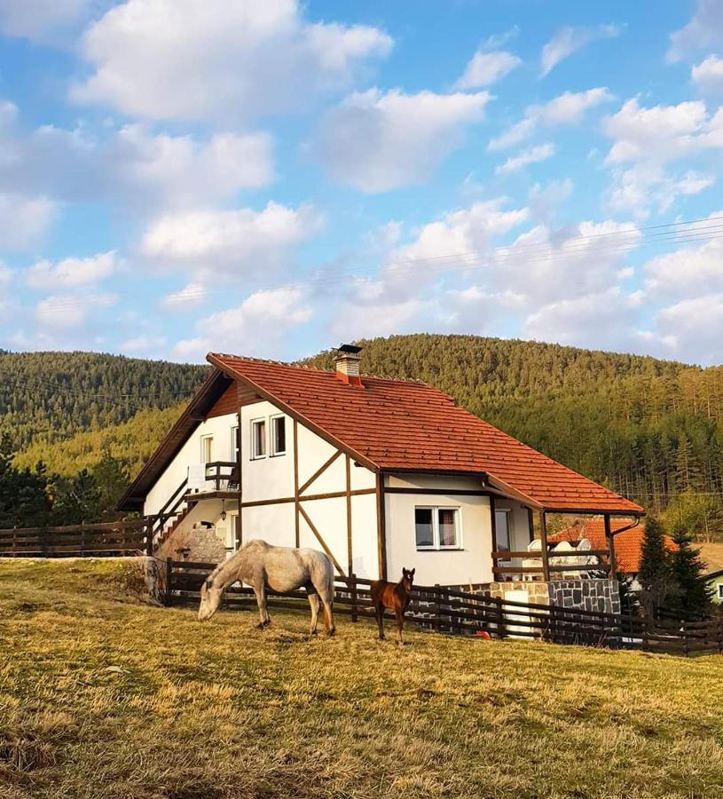Vila Jela Tornik Zlatibor Extérieur photo